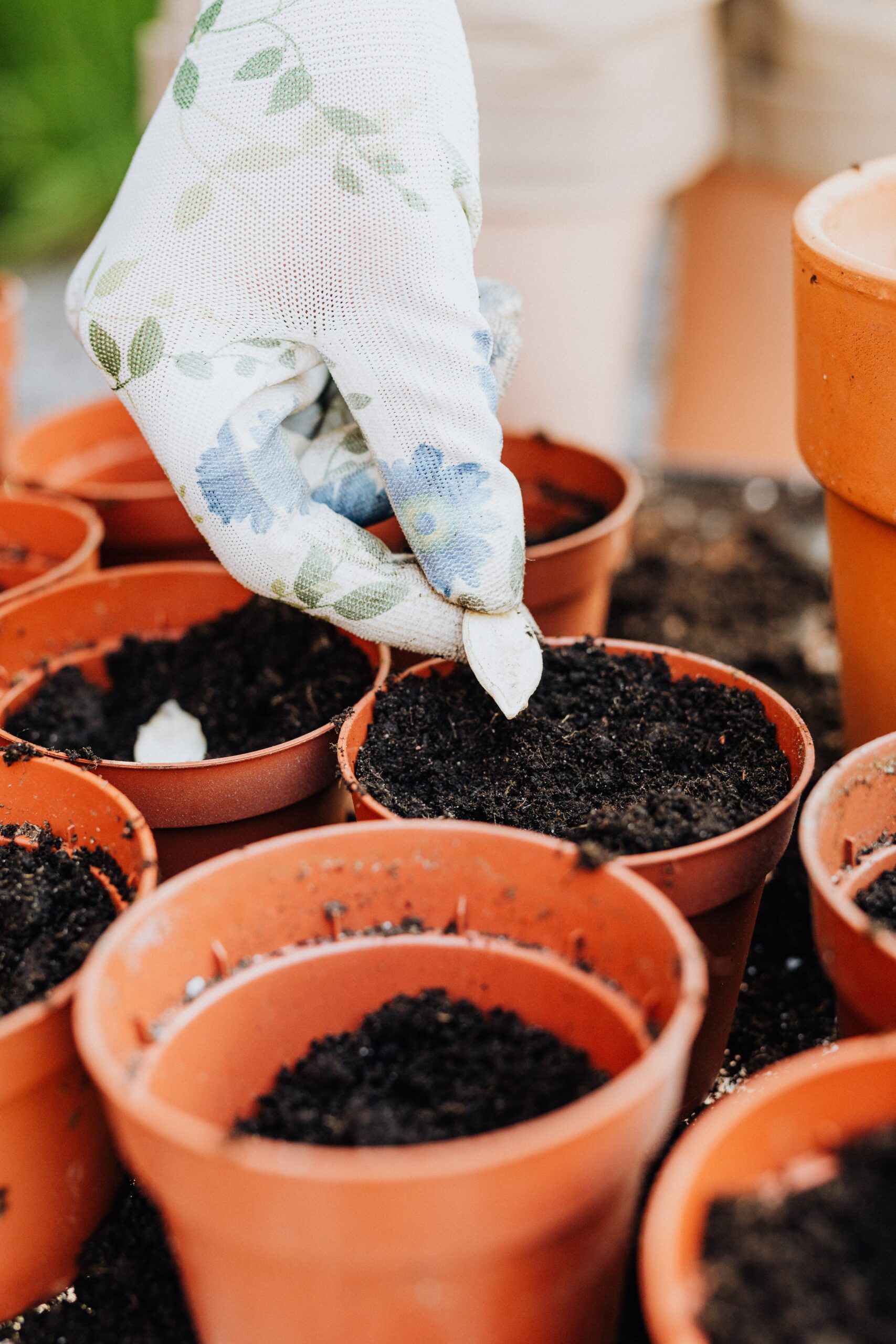 Composting in Small Apartments take seed