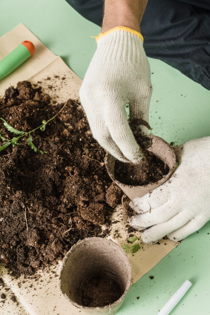 Composting in Small Apartments