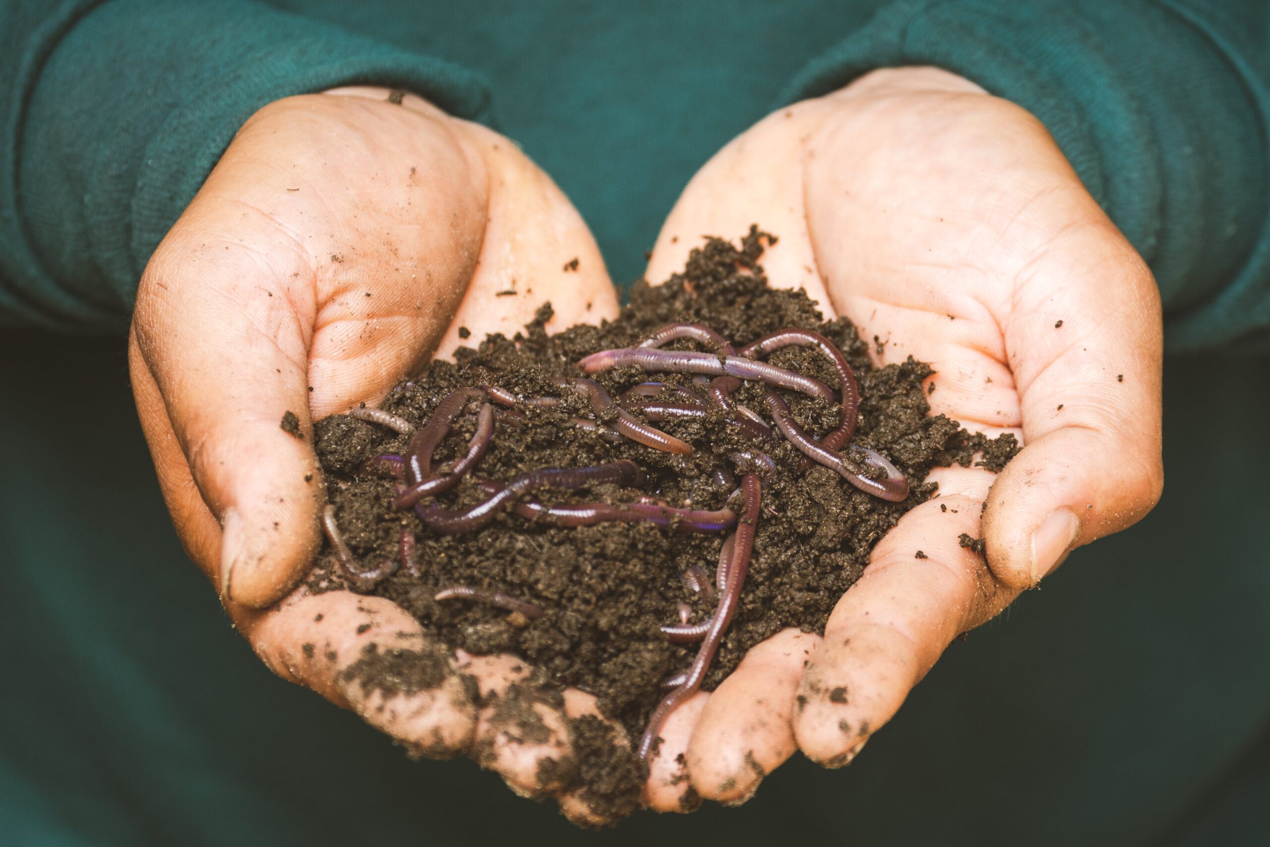 Composting in Small Apartments 